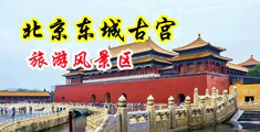 熟妇被大鸡巴操流水中国北京-东城古宫旅游风景区